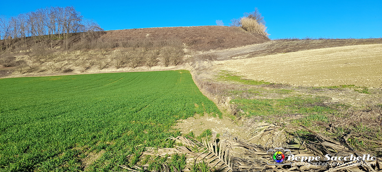 20230110_150241 - Dalla terra... il grano.jpg